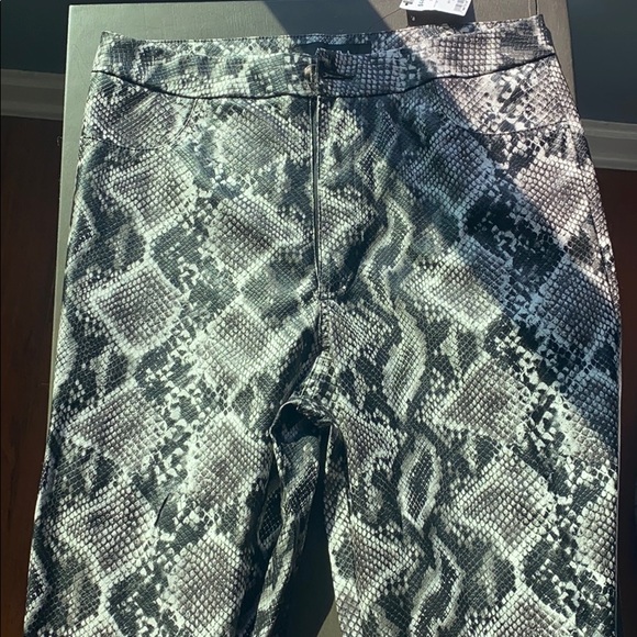 “Python Rich Snake” Pants - Picture 1 of 4